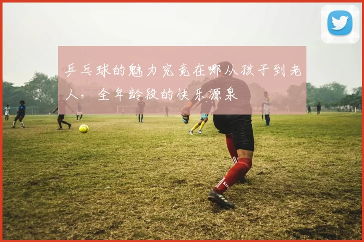 乒乓球的魅力究竟在哪从孩子到老人，全年龄段的快乐源泉